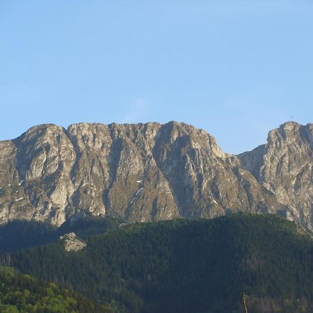 Jedrus Villa Zakopane Buitenkant foto